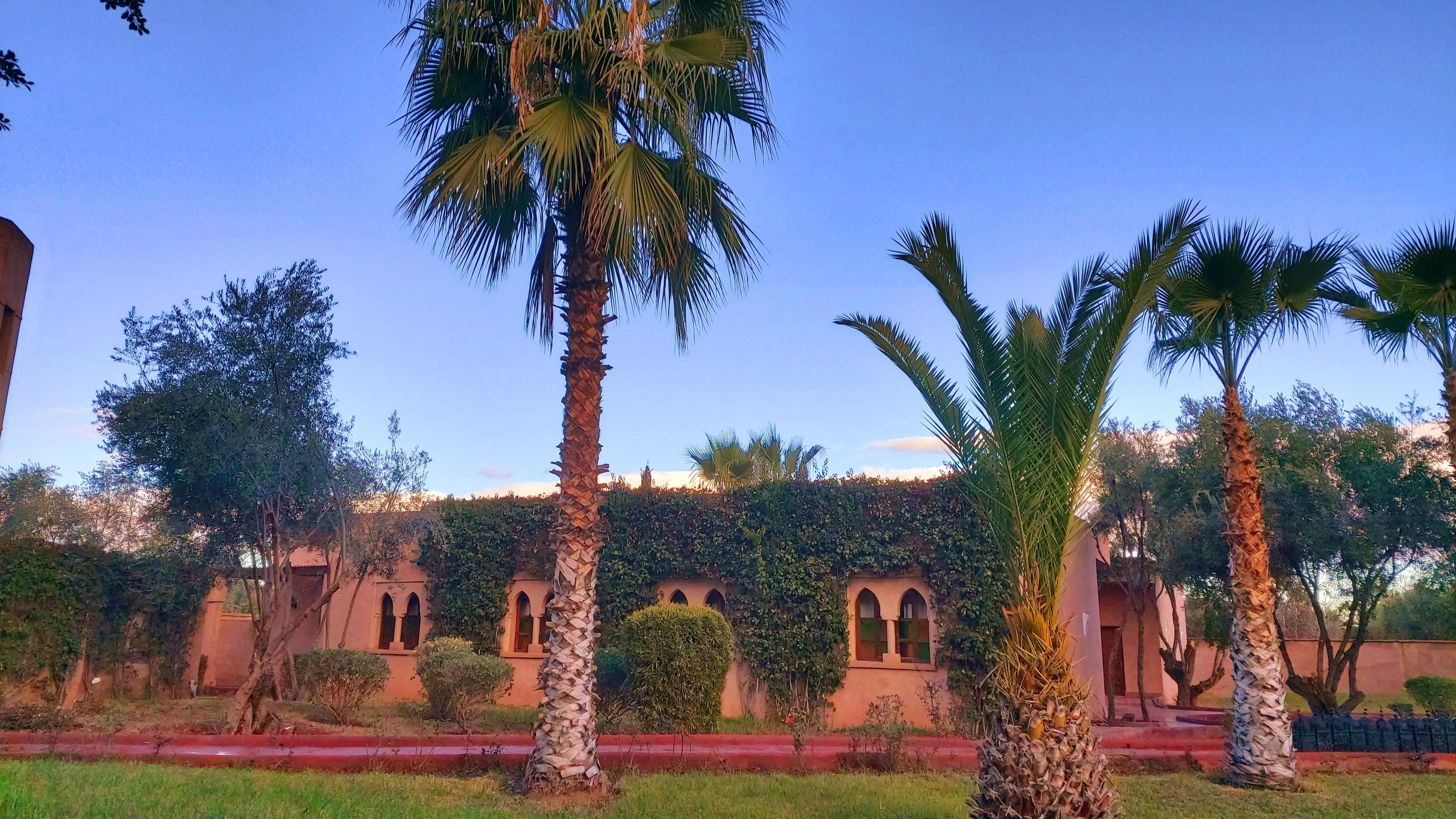 La Maison Des Oliviers Lagouassem Dış mekan fotoğraf