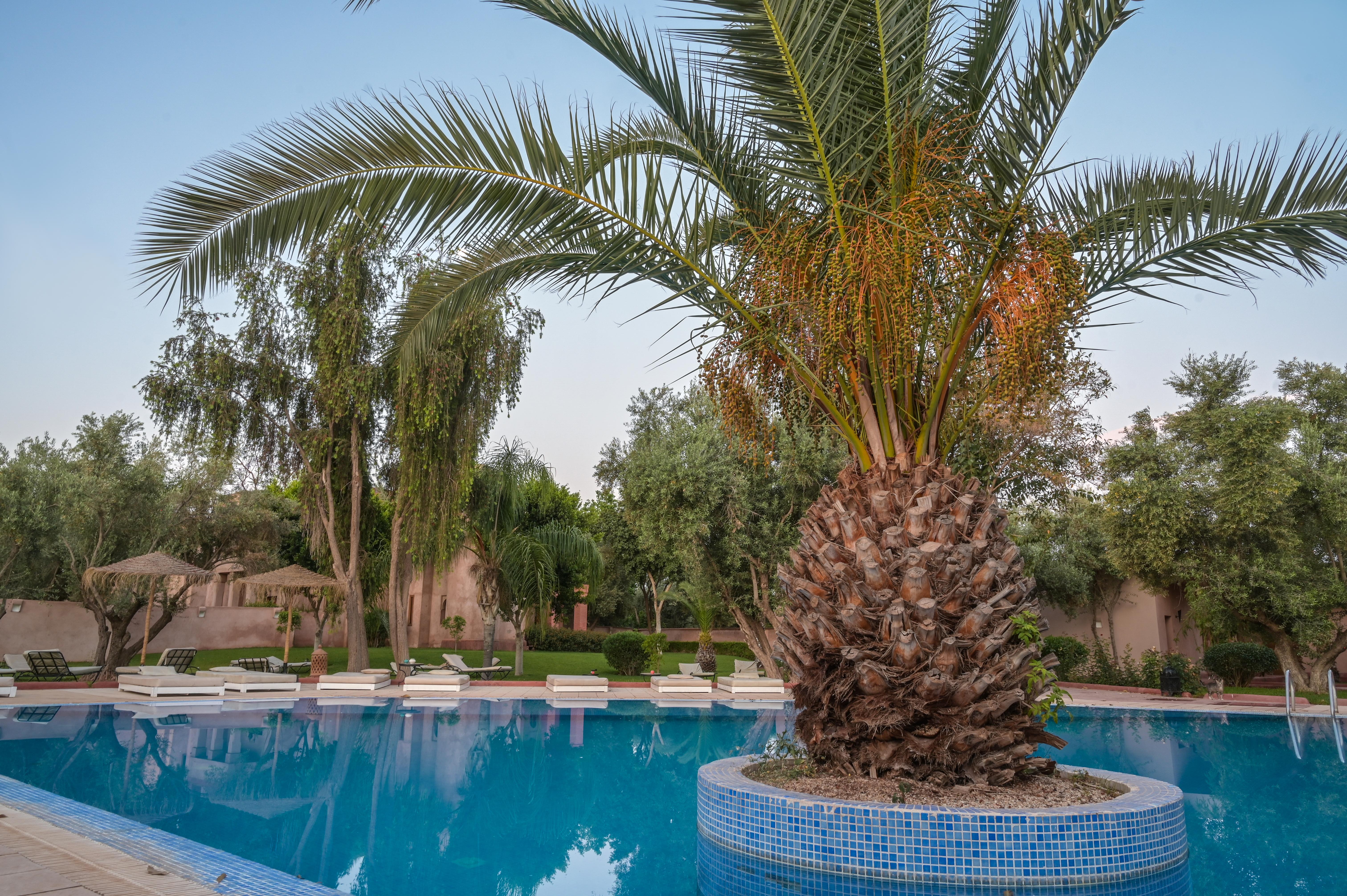 La Maison Des Oliviers Lagouassem Dış mekan fotoğraf